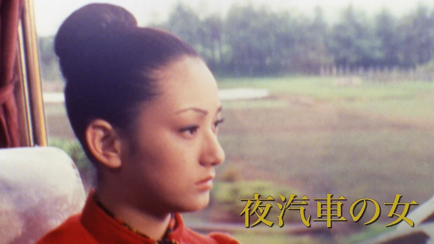 夜汽車の女