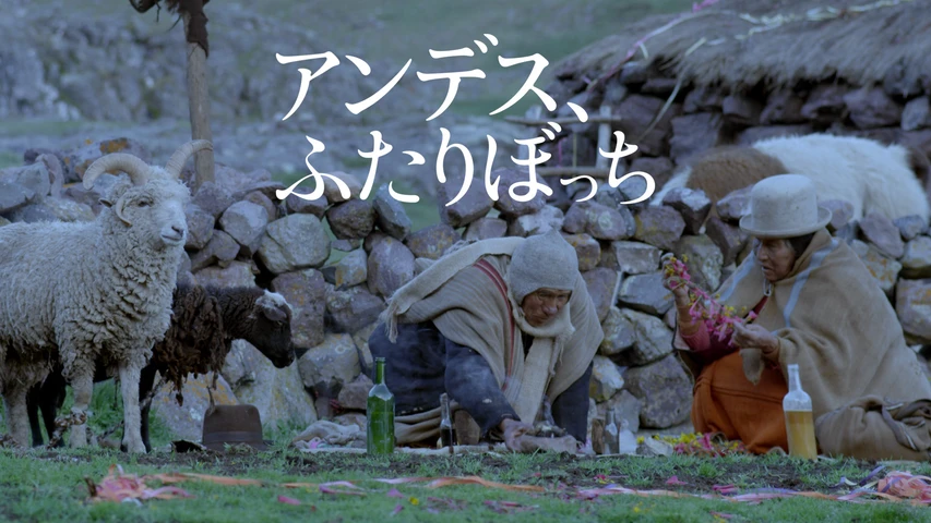 アンデス、ふたりぼっち
