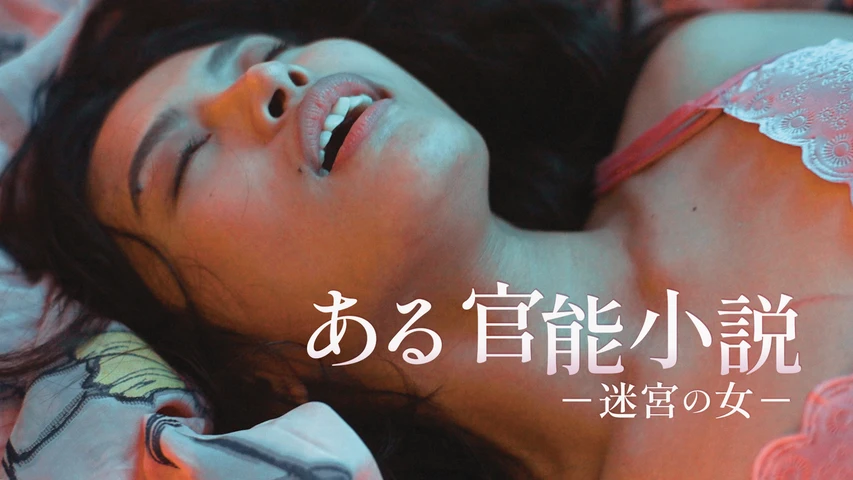 ある官能小説 -迷宮の女‐