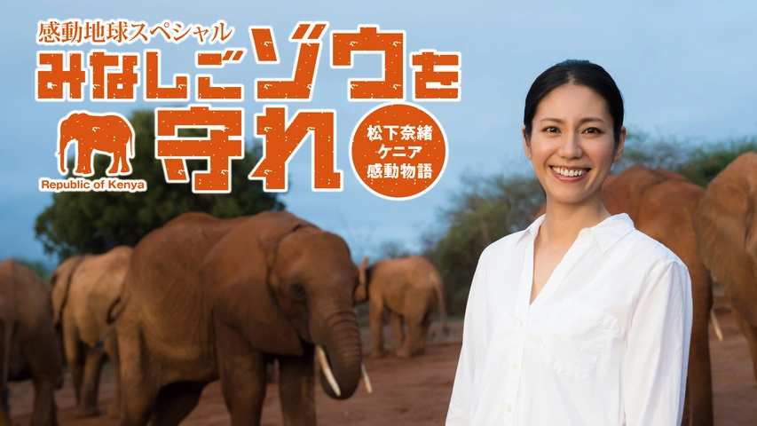 感動地球スペシャル みなしごゾウを守れ 松下奈緒ケニア感動物語 フジテレビの人気ドラマ アニメ Tv番組の動画が見放題 Fod