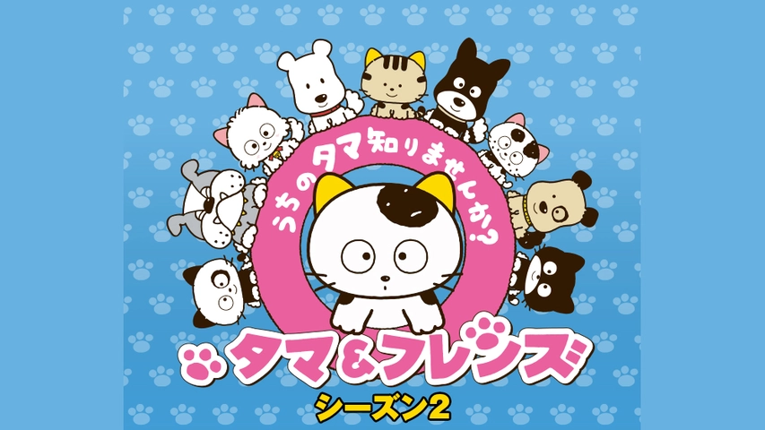 タマ フレンズ うちのタマ知りませんか シーズン2 フジテレビの人気ドラマ アニメ Tv番組の動画が見放題 Fod