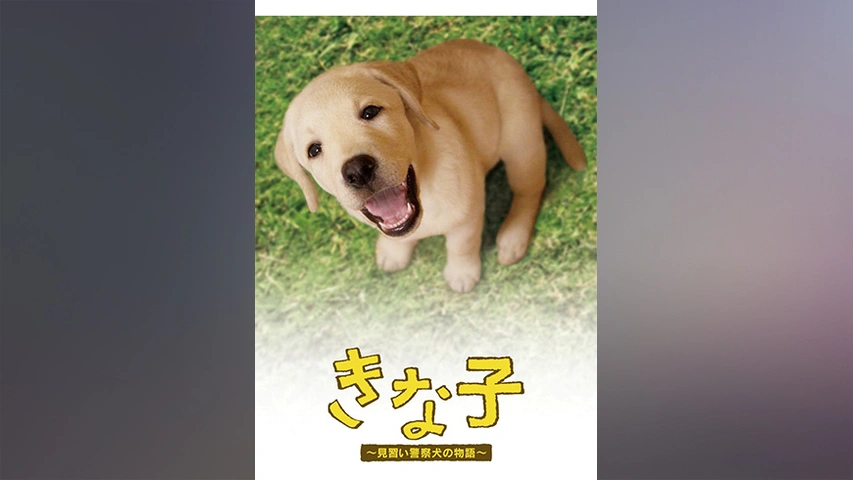 きな子 見習い警察犬の物語 フジテレビの人気ドラマ アニメ Tv番組の動画が見放題 Fod