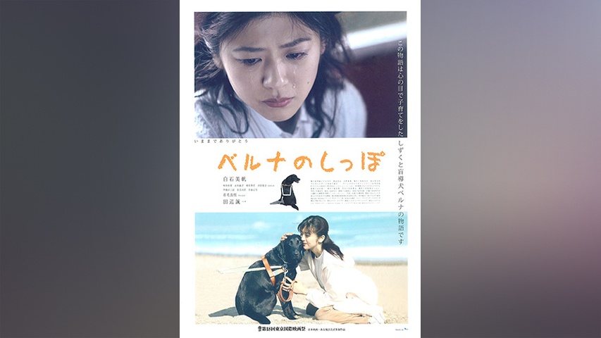 ベルナのしっぽ｜フジテレビの人気ドラマ・アニメ・TV番組の動画が見 