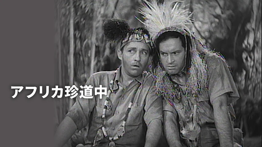 アフリカ珍道中