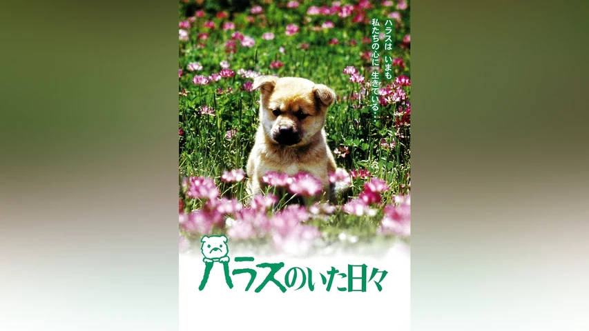 ハラスのいた日々