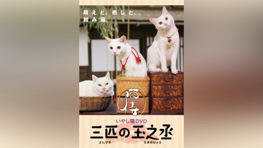 猫侍 三匹の玉之丞
