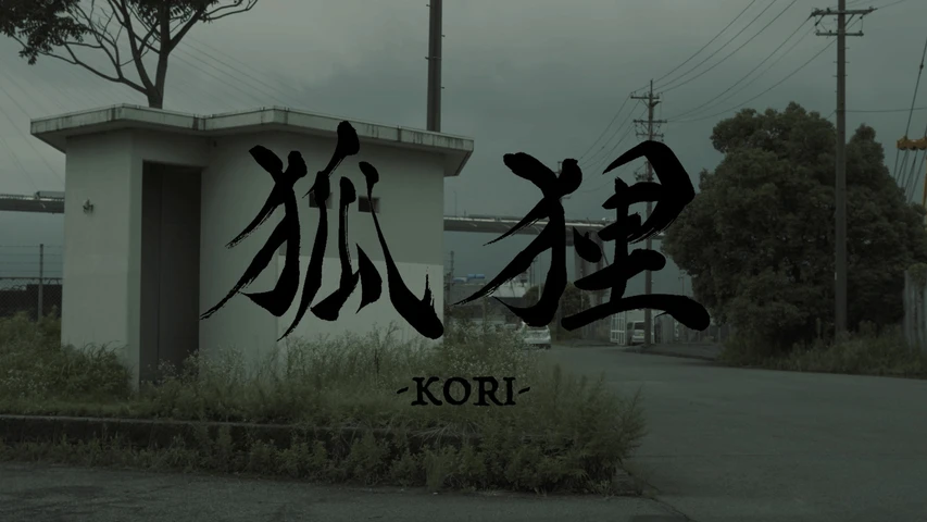 狐狸