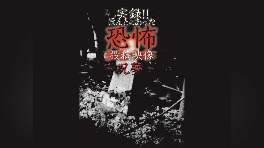 実録!!ほんとにあった恐怖の投稿映像〜呪夢〜