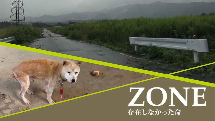 ZONE 存在しなかった命