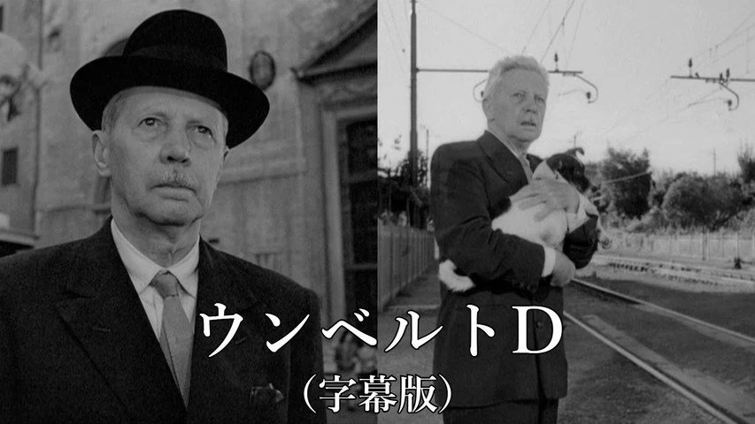 ウンベルトD