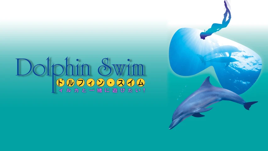 ドルフィン・スイム