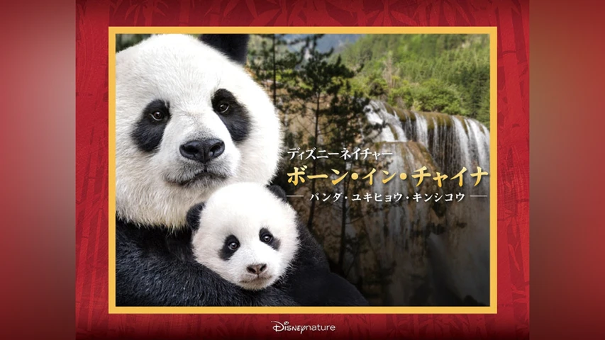 ディズニーネイチャー/ボーン・イン・チャイナ -パンダ・ユキヒョウ・キンシコウ -