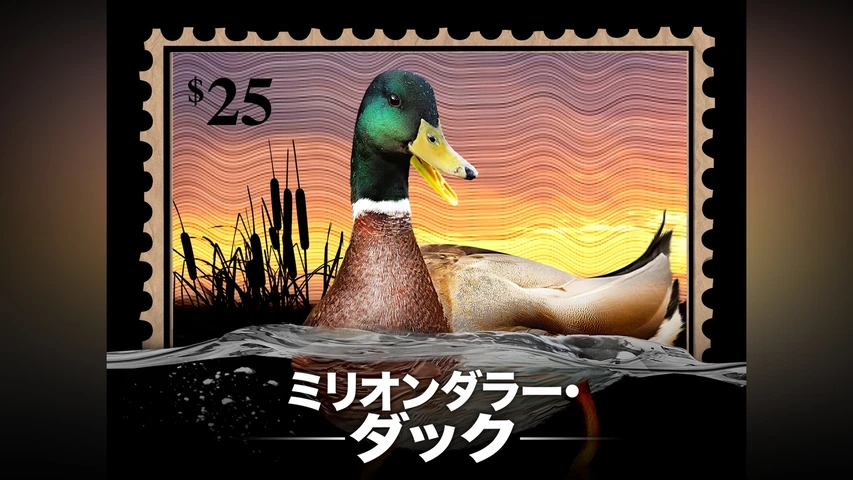 ミリオンダラー・ダック