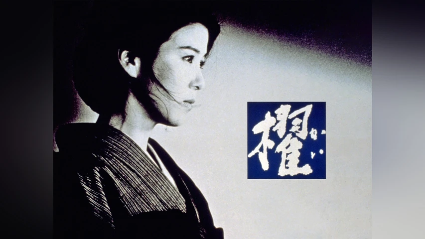 櫂