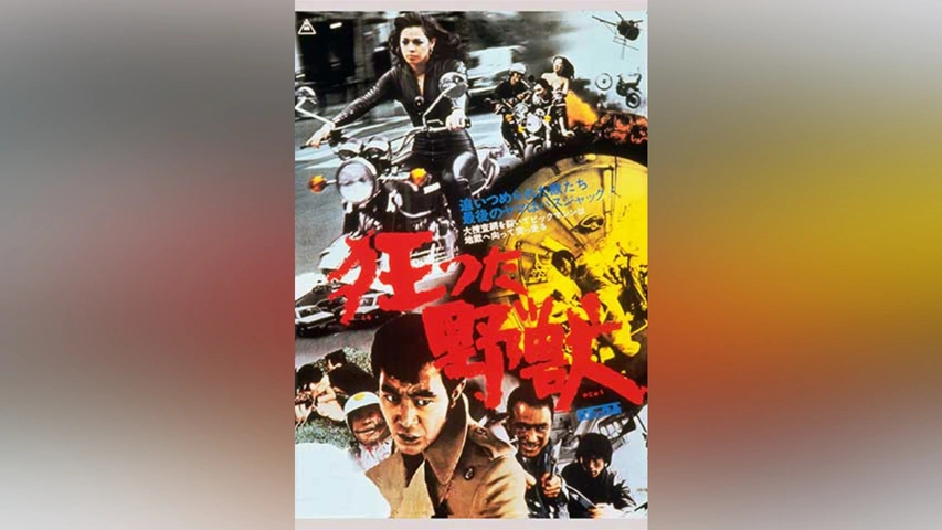 狂った野獣｜フジテレビの人気ドラマ・アニメ・TV番組の動画が見放題 