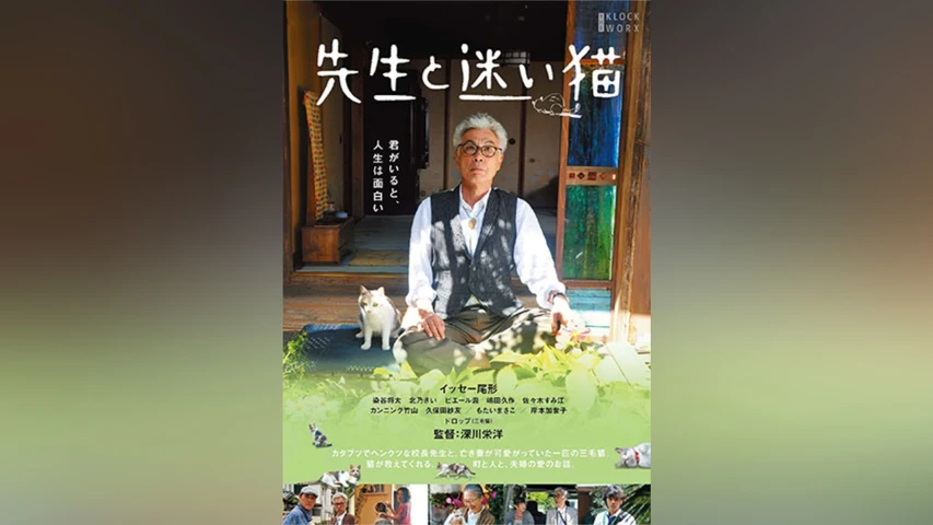 先生と迷い猫