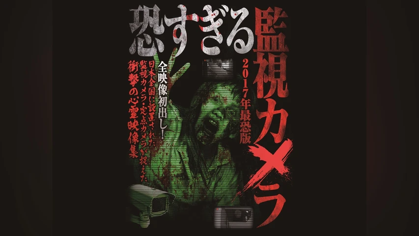 恐すぎる監視カメラ -2017年最恐版-