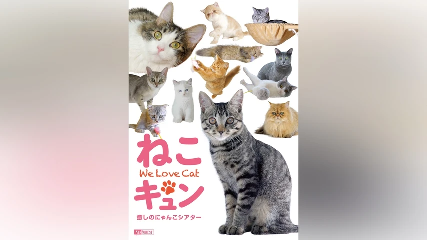 ねこキュン 癒しのにゃんこシアター