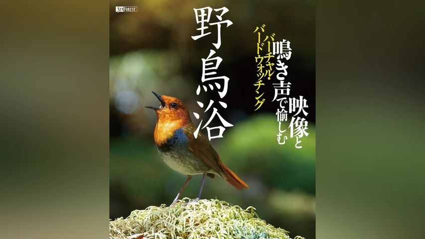 野鳥浴 映像と鳴き声で愉しむバーチャル・バードウォッチング