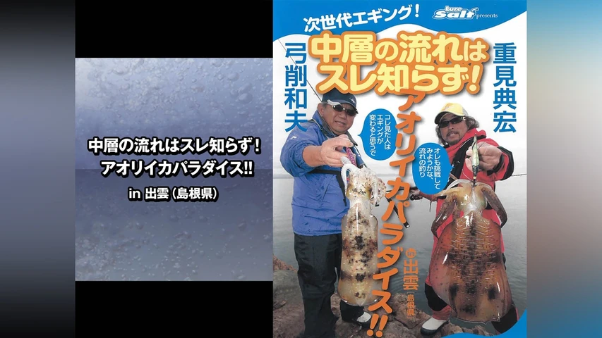 中層の流れはスレ知らず!アオリイカパラダイス!! in出雲(島根県)