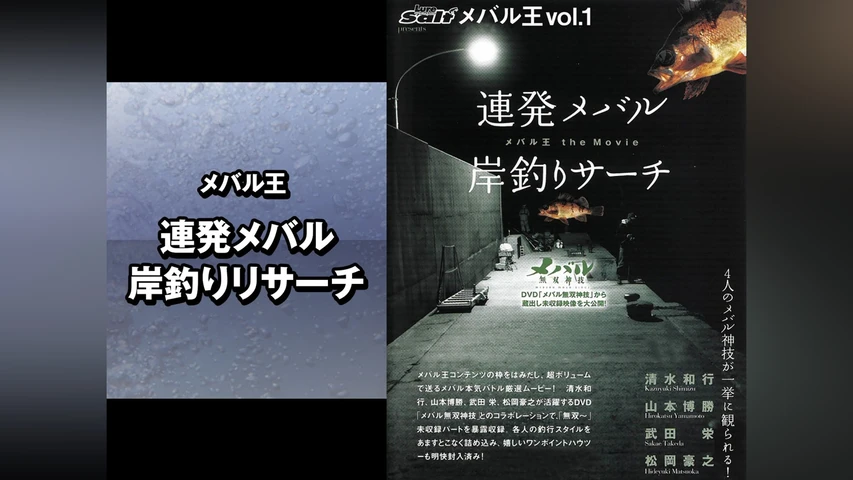 メバル王(連発メバル 岸釣りリサーチ)