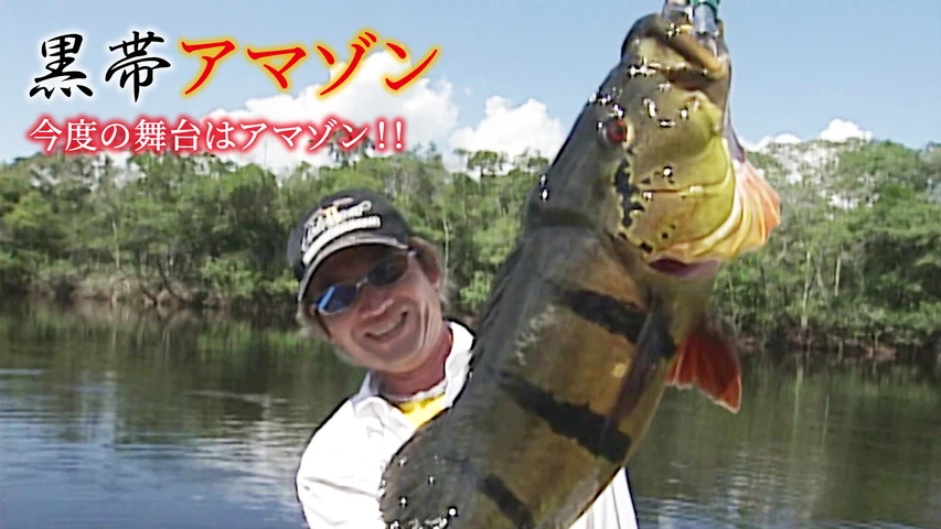 黒帯アマゾン 今度の舞台はアマゾン!!
