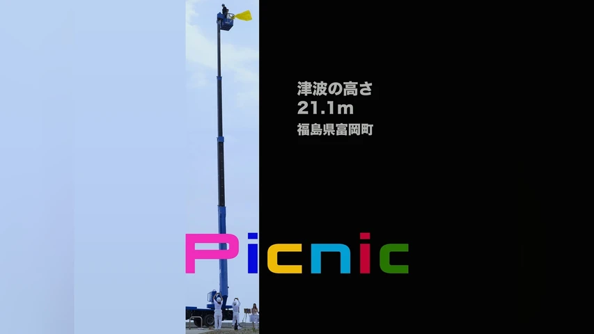 Picnic