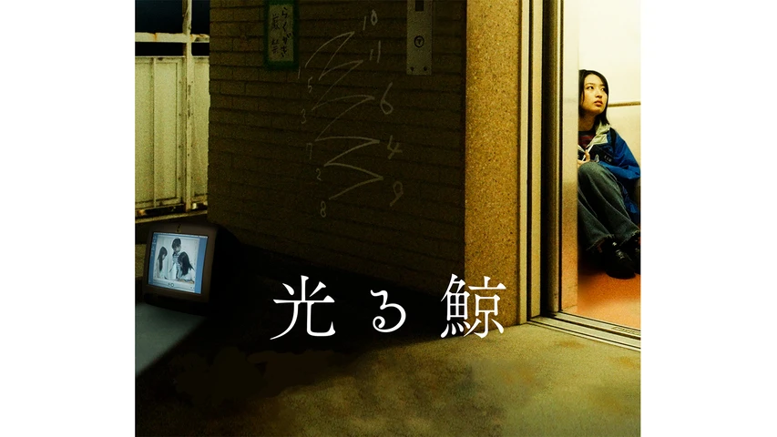 光る鯨