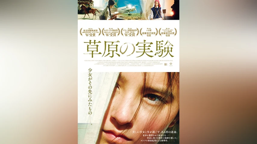 草原の実験