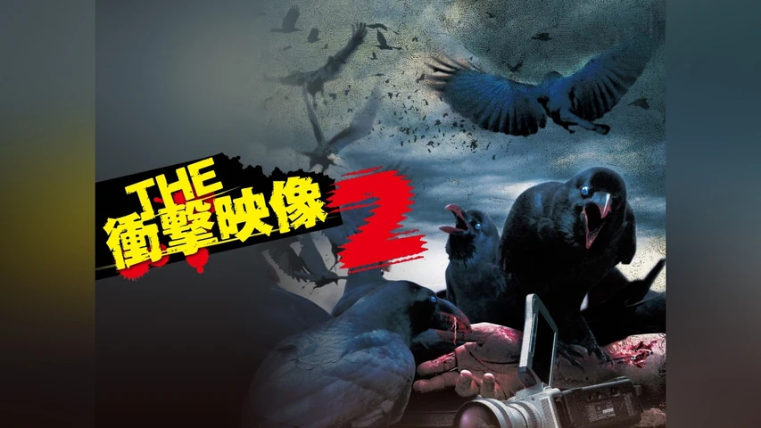 THE 衝撃映像 2