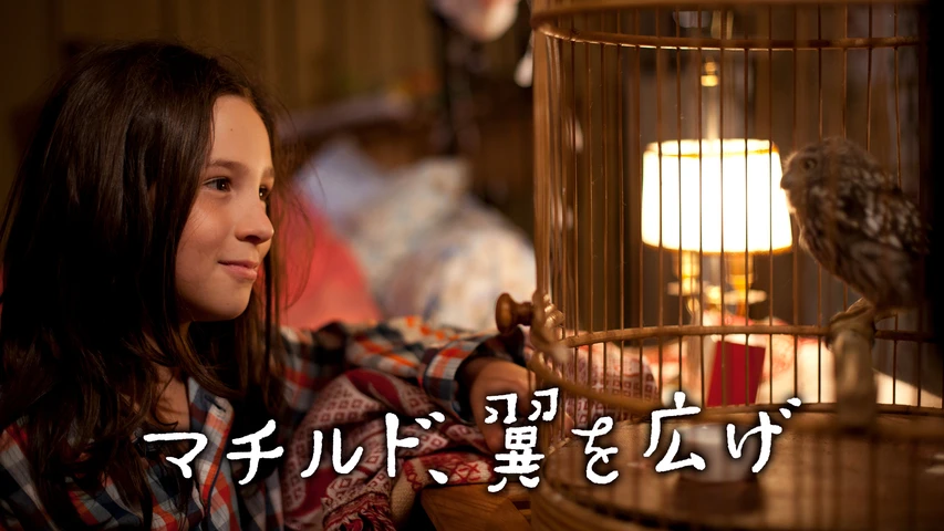 マチルド、翼を広げ