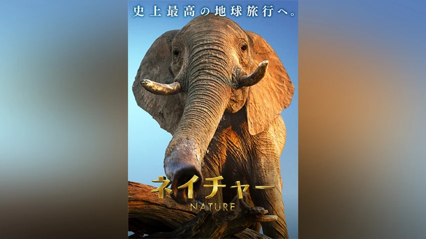 ネイチャー