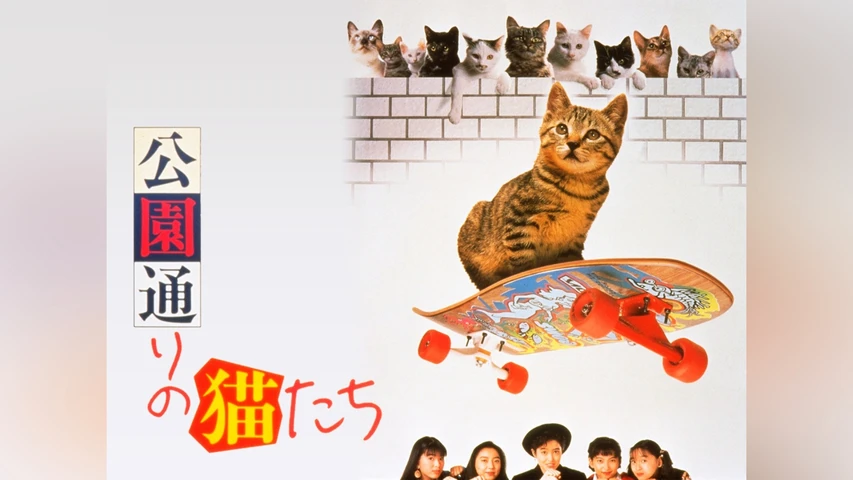 公園通りの猫たち