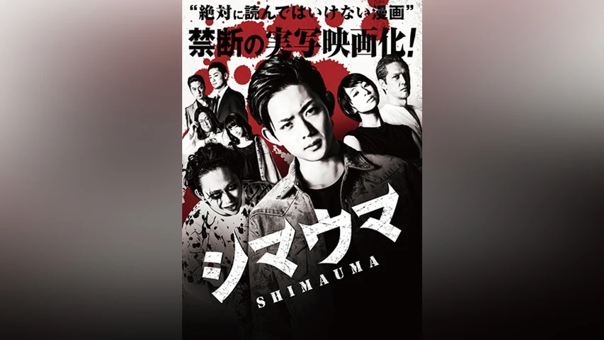 シマウマ
