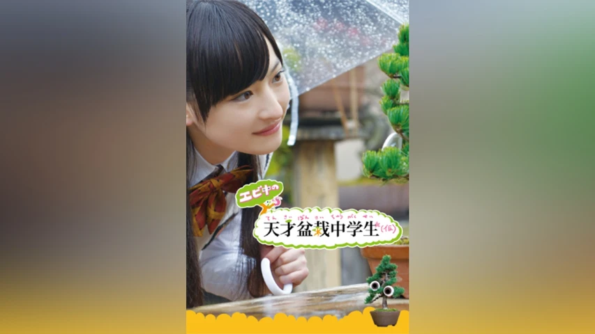 エビ中の天才盆栽中学生(仮)