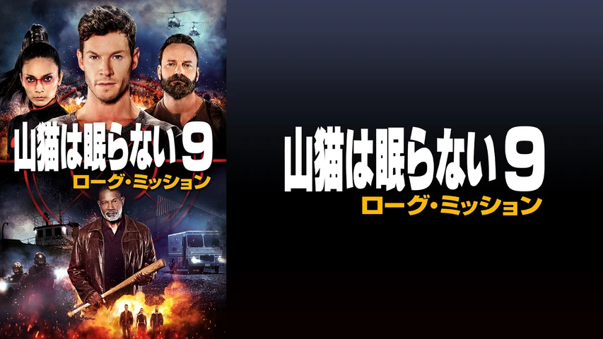 山猫は眠らない9 ローグ・ミッション