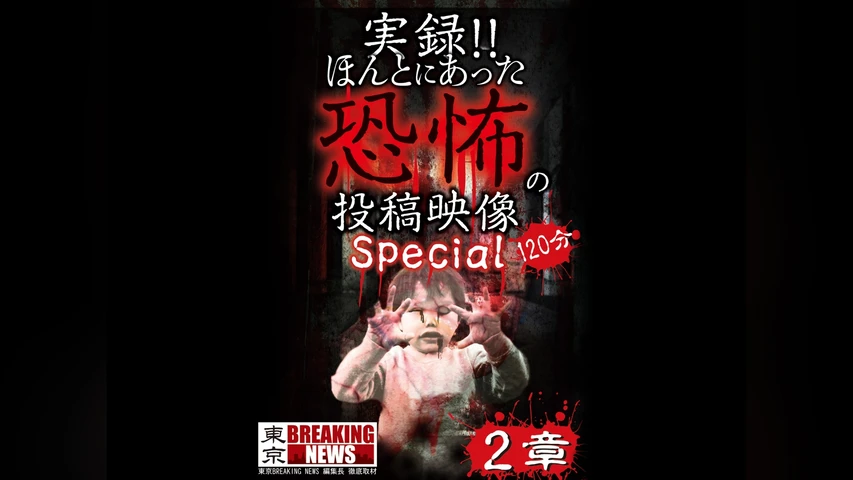 実録!!ほんとにあった恐怖の投稿映像 スペシャル 2章