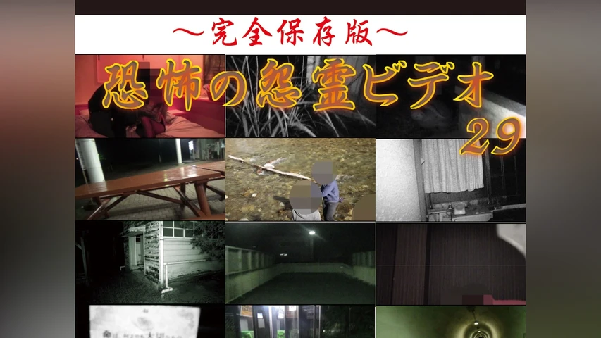 〜完全保存版〜恐怖の怨霊ビデオ29