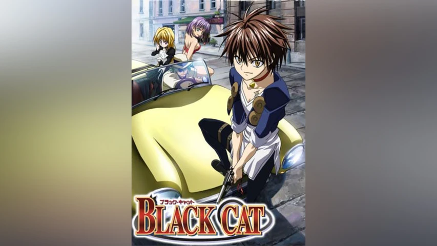 BLACK CAT
