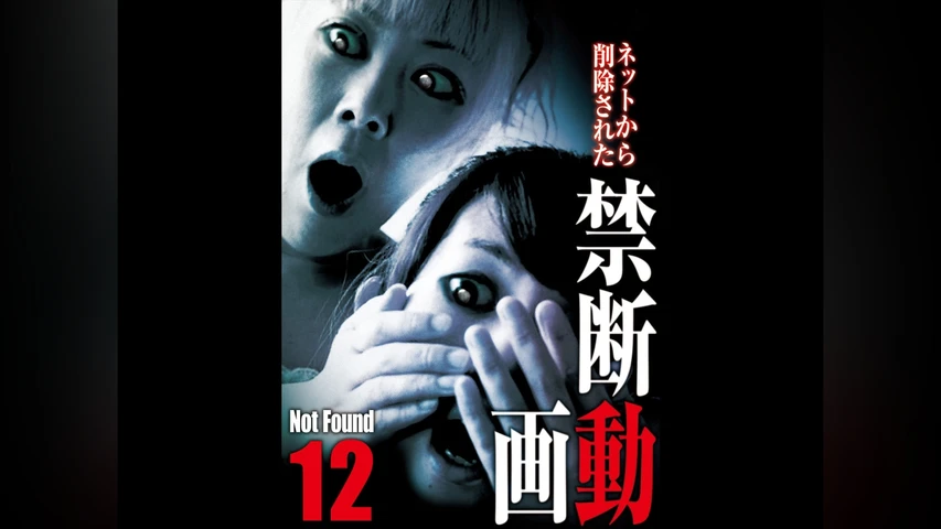 Not Found 12 ネットから削除された禁断動画