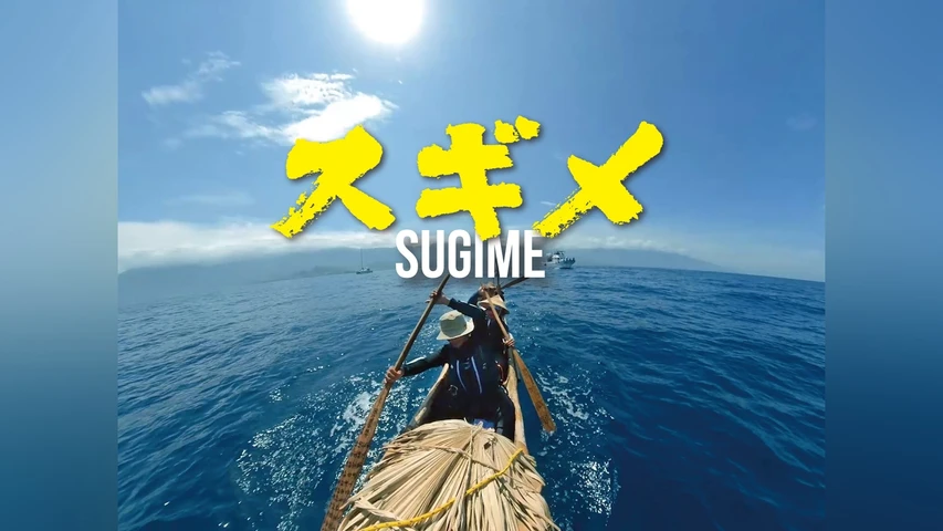 スギメ(3万年前の航海 徹底再現プロジェクト)
