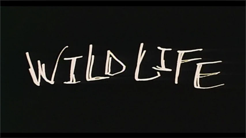WILD LIFE