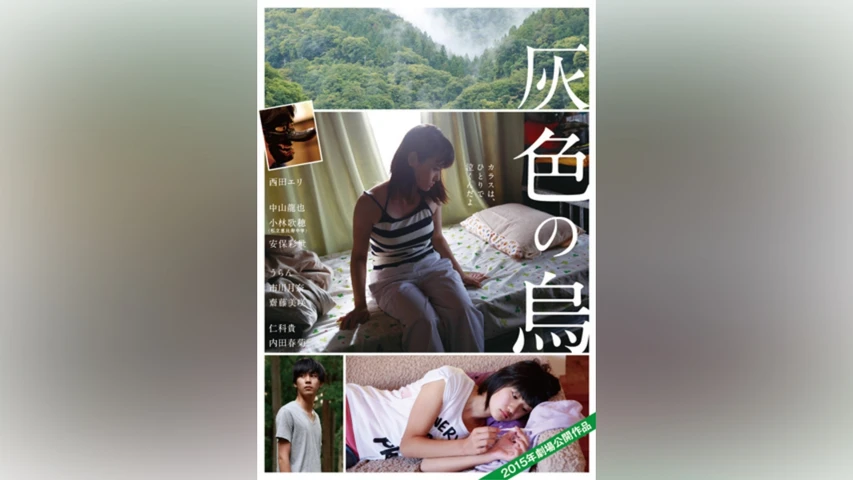 灰色の烏