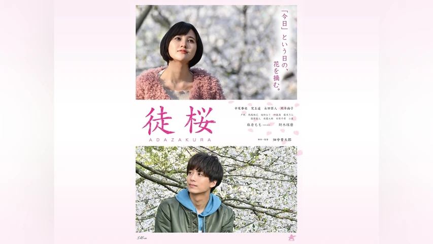 徒桜 ADAZAKURA