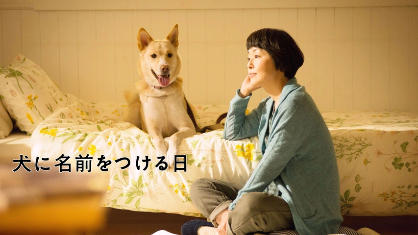 犬に名前をつける日 フジテレビの人気ドラマ アニメ Tv番組の動画が見放題 Fod