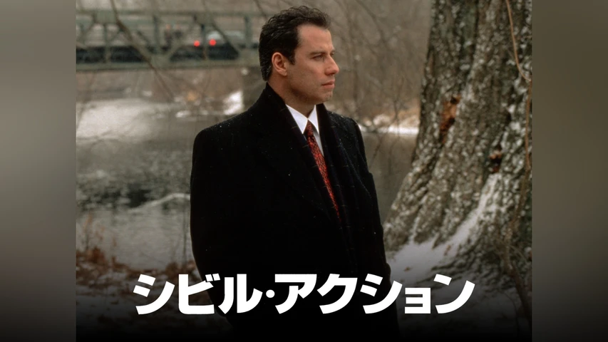 シビル･アクション