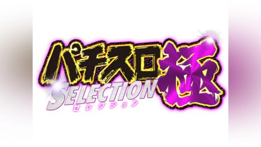 パチスロ 極 SELECTION