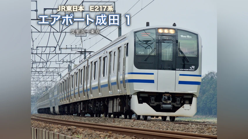 E217系エアポｰト成田1久里浜東京