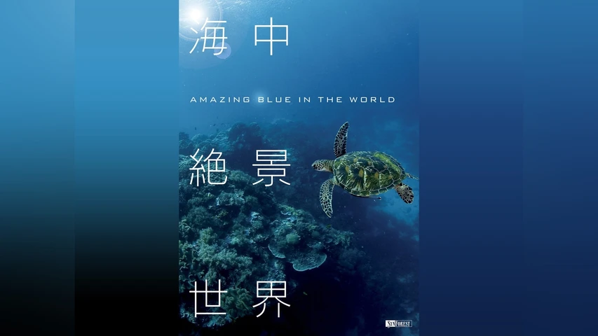 海中絶景世界