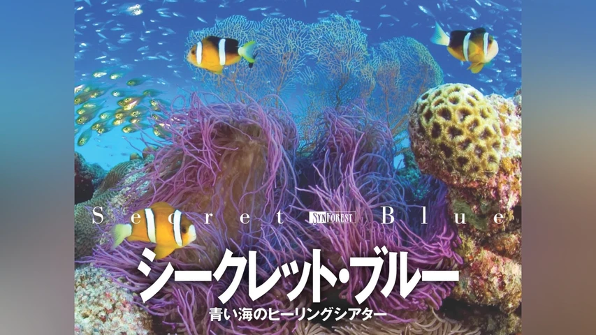 シークレット・ブルー 青い海のヒーリングシアター
